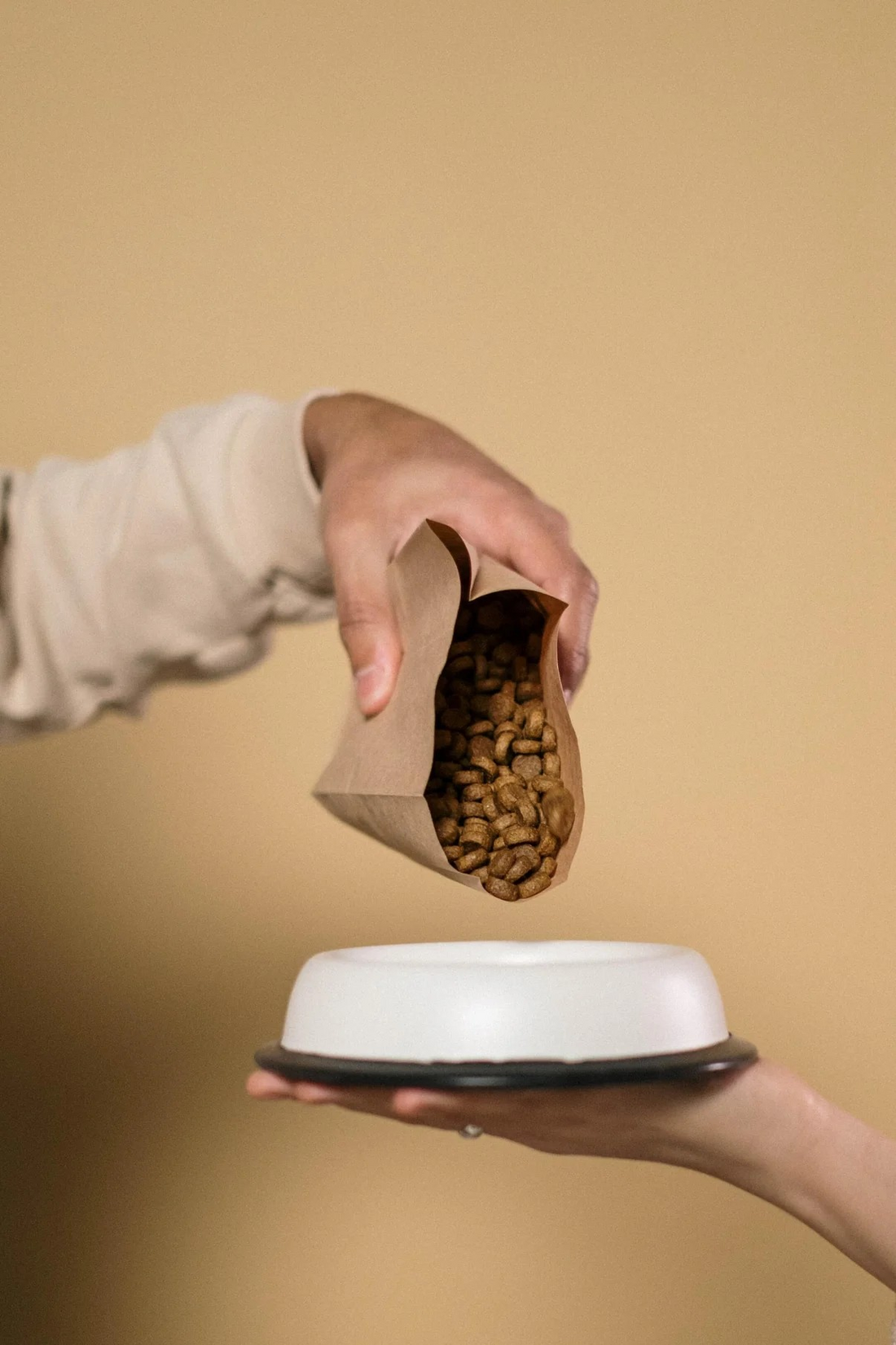 Choosing the Right Food for Your Pet
